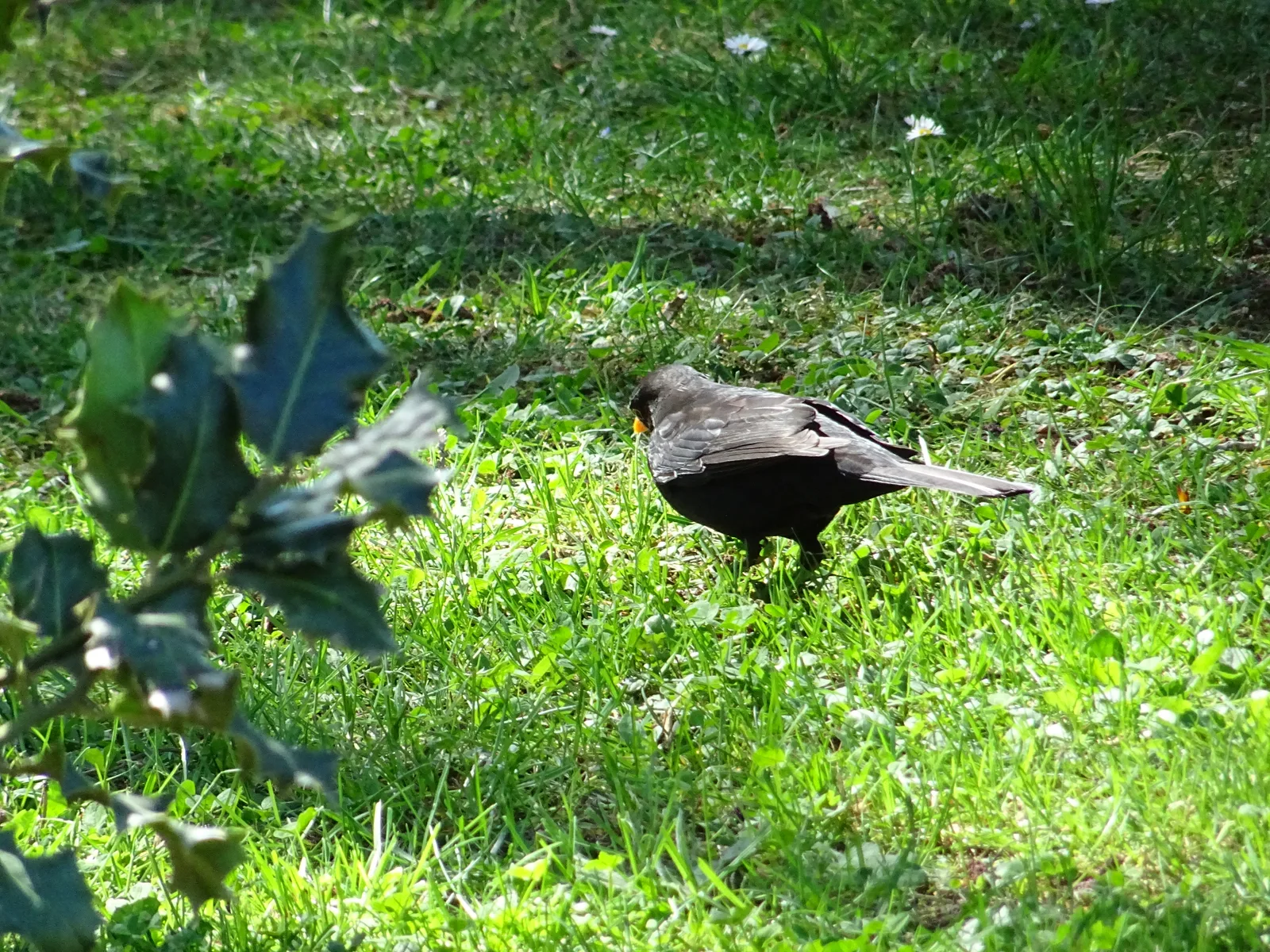 Interior at Parc de Budé Geneva — travel photo