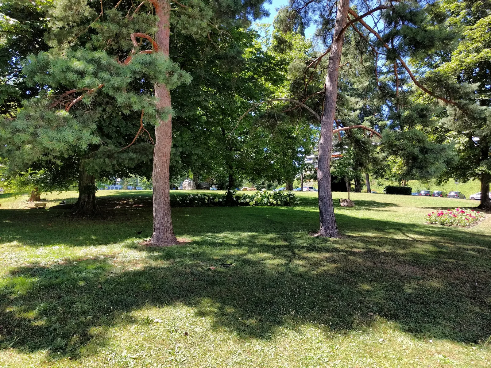 Details at Parc de Budé Geneva — travel photo