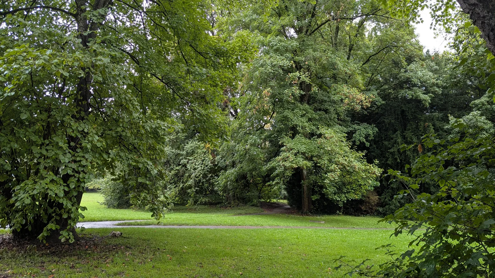 Atmosphere at Parc de Budé Geneva — travel photo