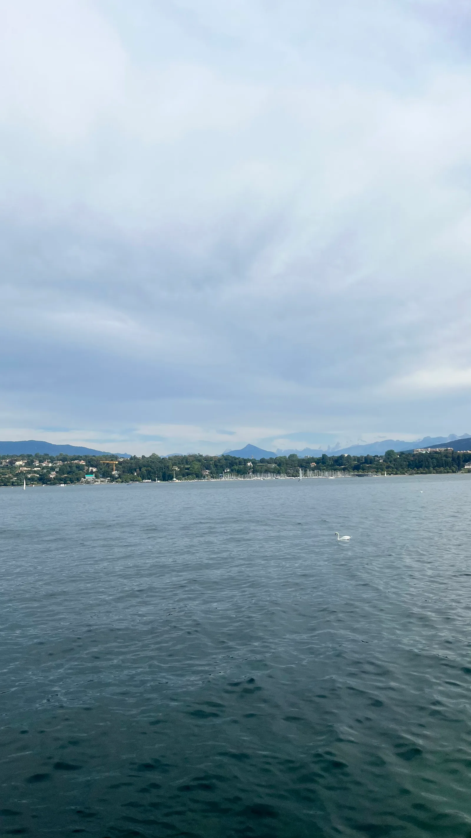 Main view at Parc de La Perle du Lac Geneva — travel photo