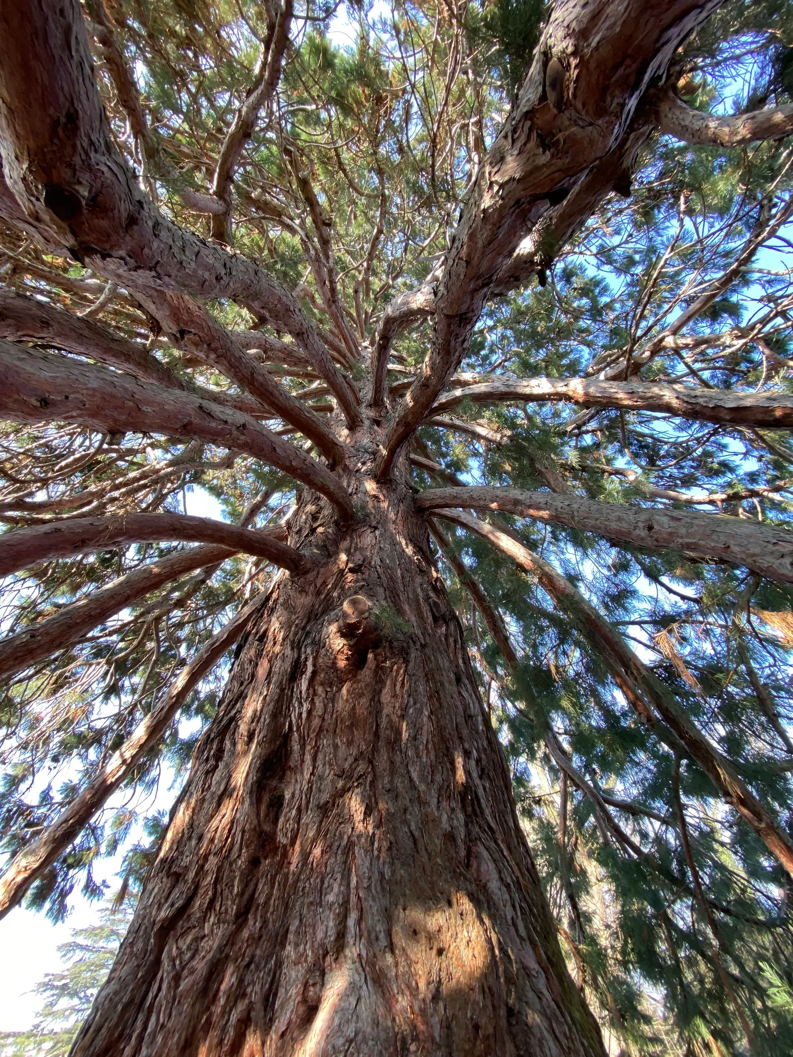 Interior at Parc de Trembley Geneva — travel photo