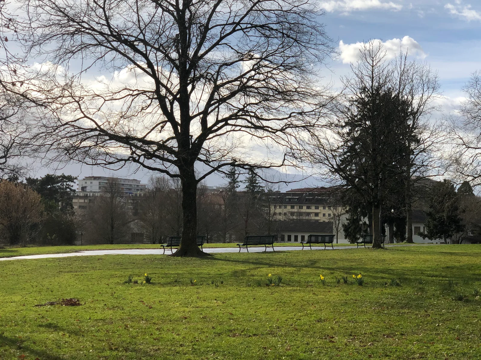 Details at Parc de Trembley Geneva — travel photo
