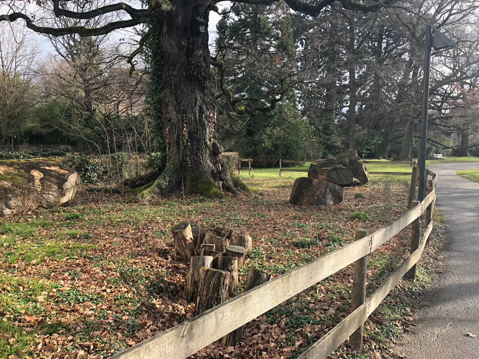 Atmosphere at Parc de Trembley Geneva — travel photo