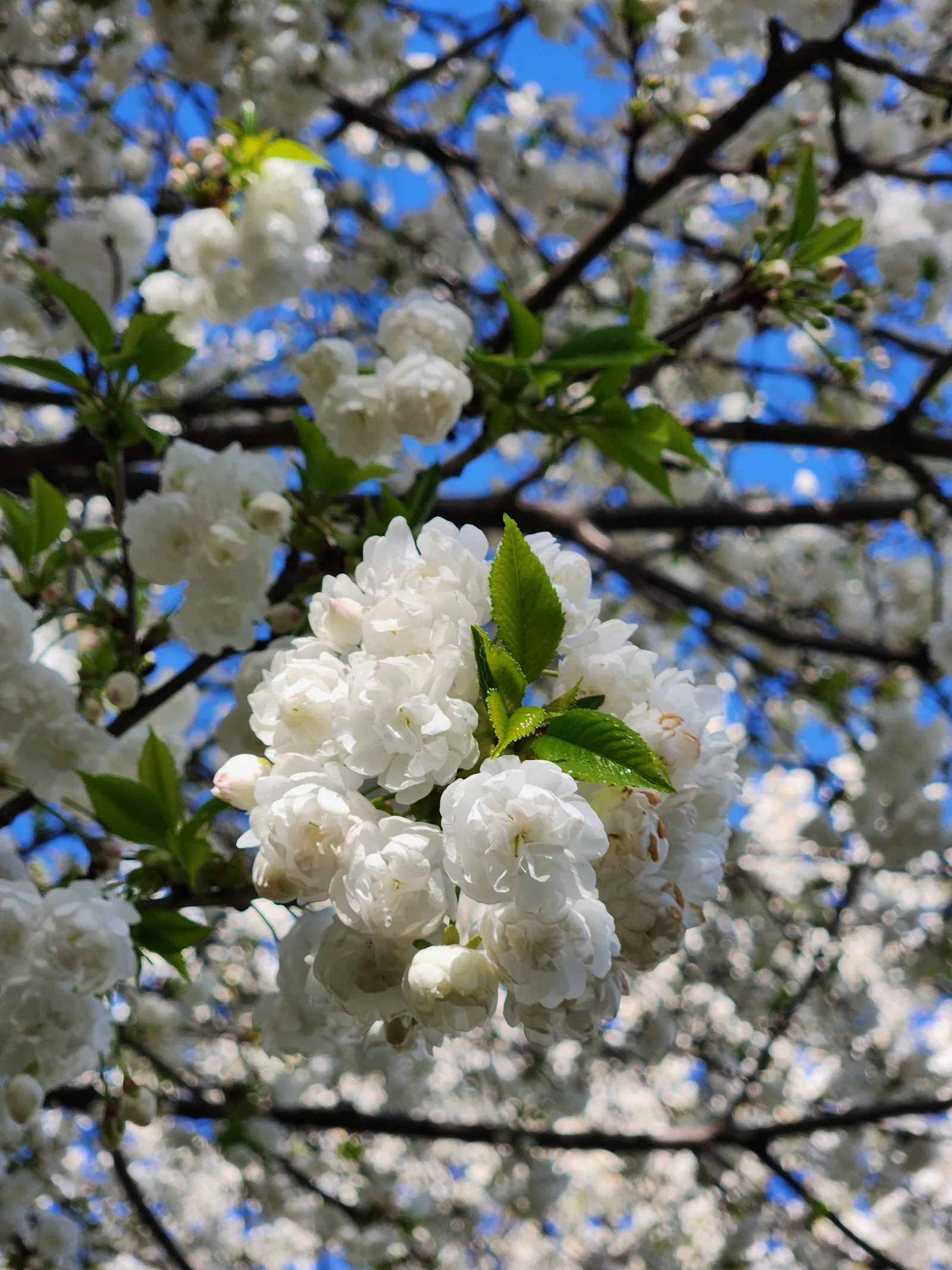 Interior at Parc des Chaumettes Geneva — travel photo