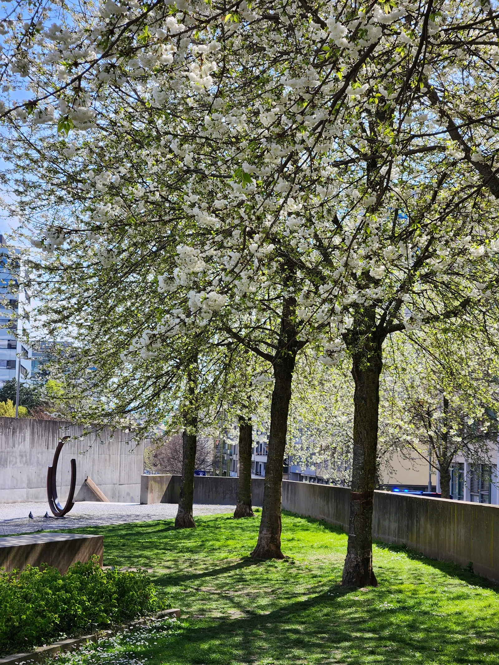 Details at Parc des Chaumettes Geneva — travel photo