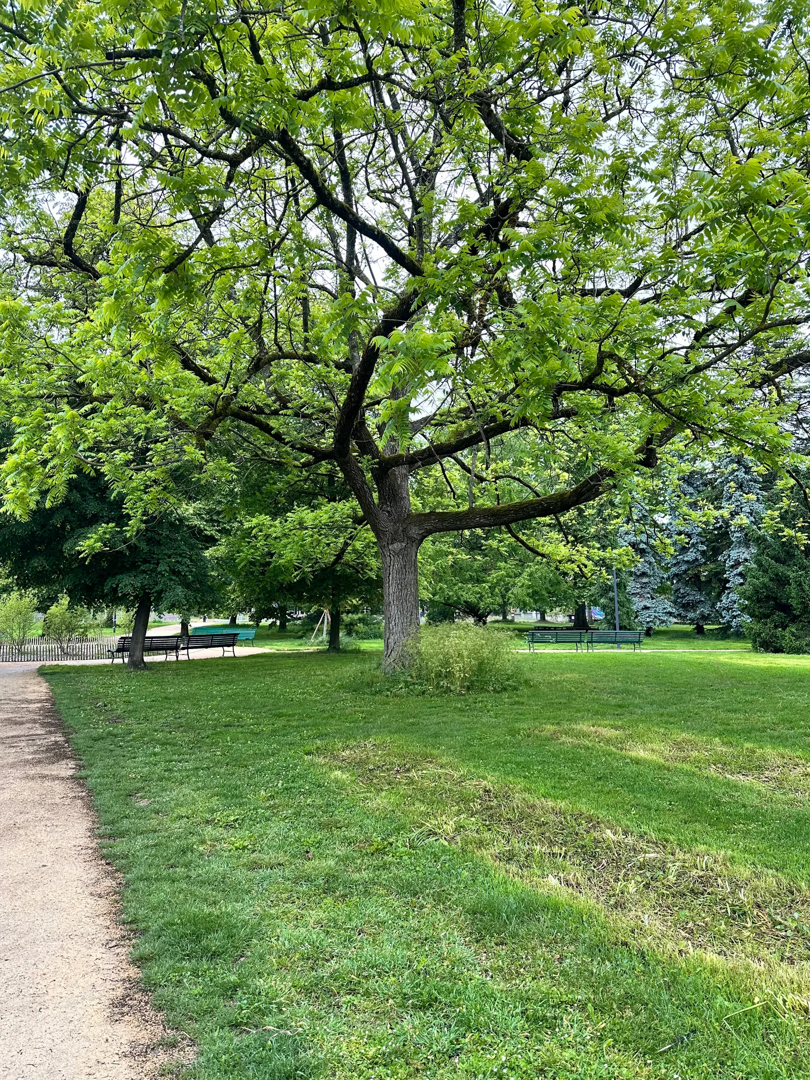Atmosphere at Parc des Franchises Geneva — travel photo