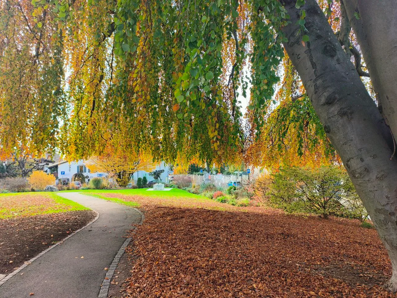 Main view at Parc du Gerdil Geneva — travel photo