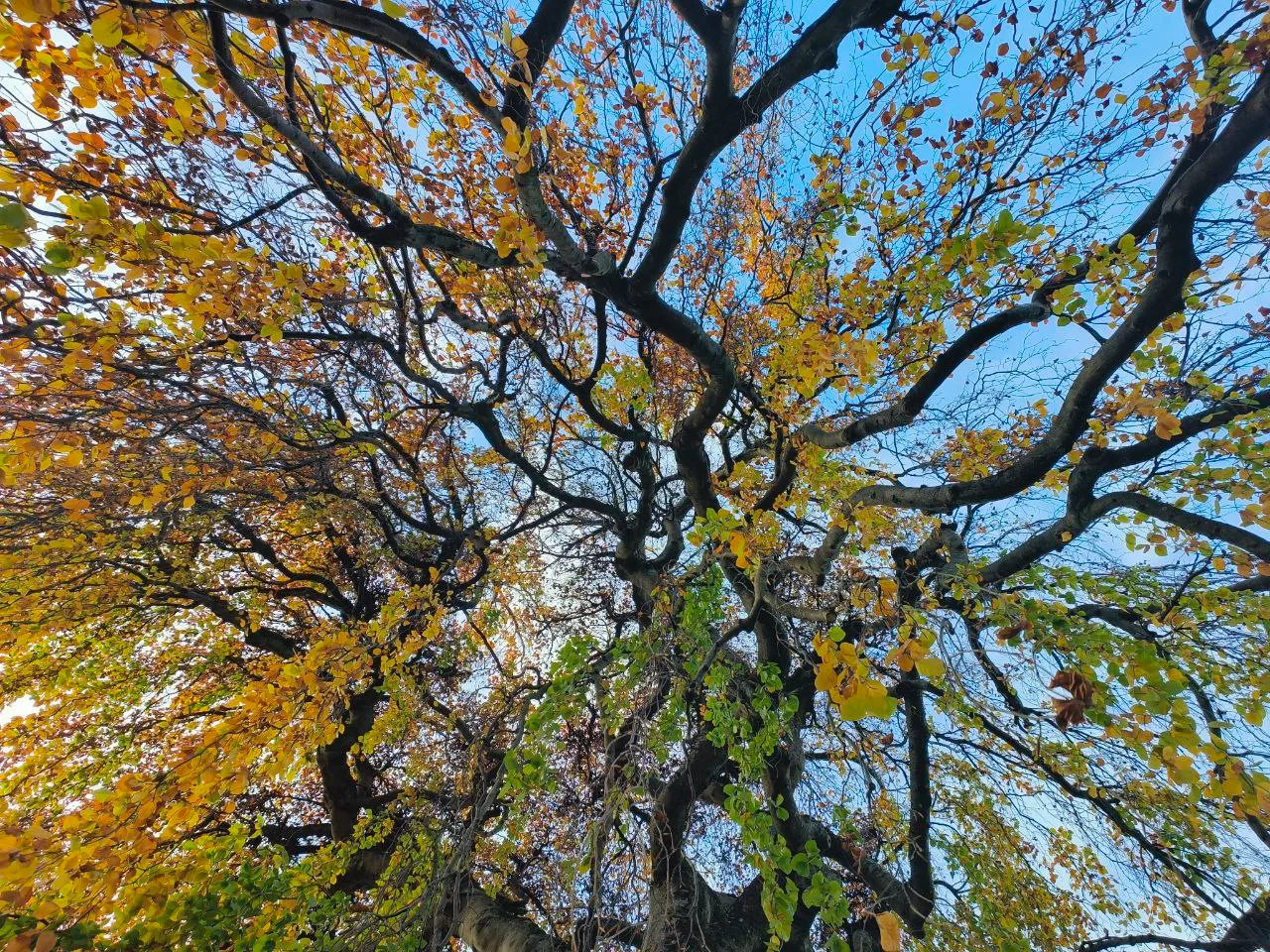 Details at Parc du Gerdil Geneva — travel photo