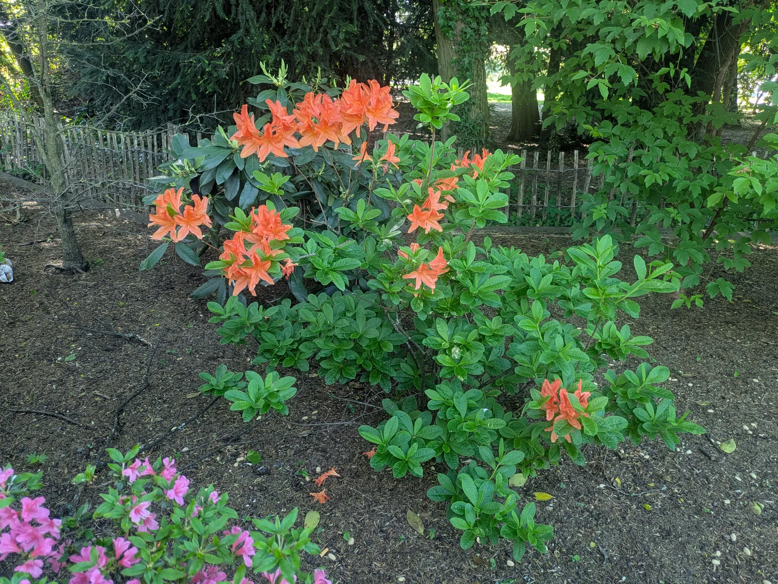 Atmosphere at Parc Geisendorf Geneva — travel photo