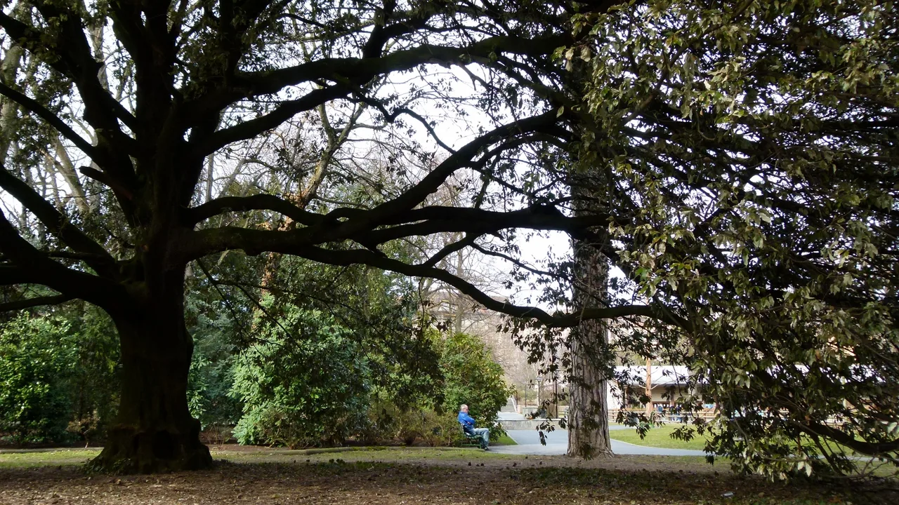 Parc Geisendorf