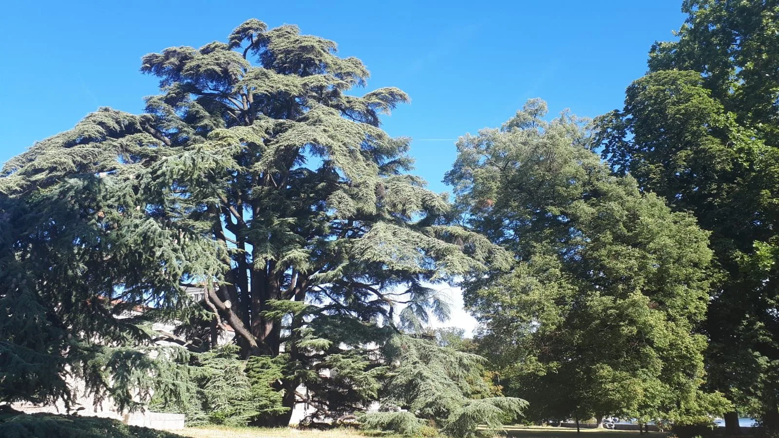 Details at Parc Moynier Geneva — travel photo