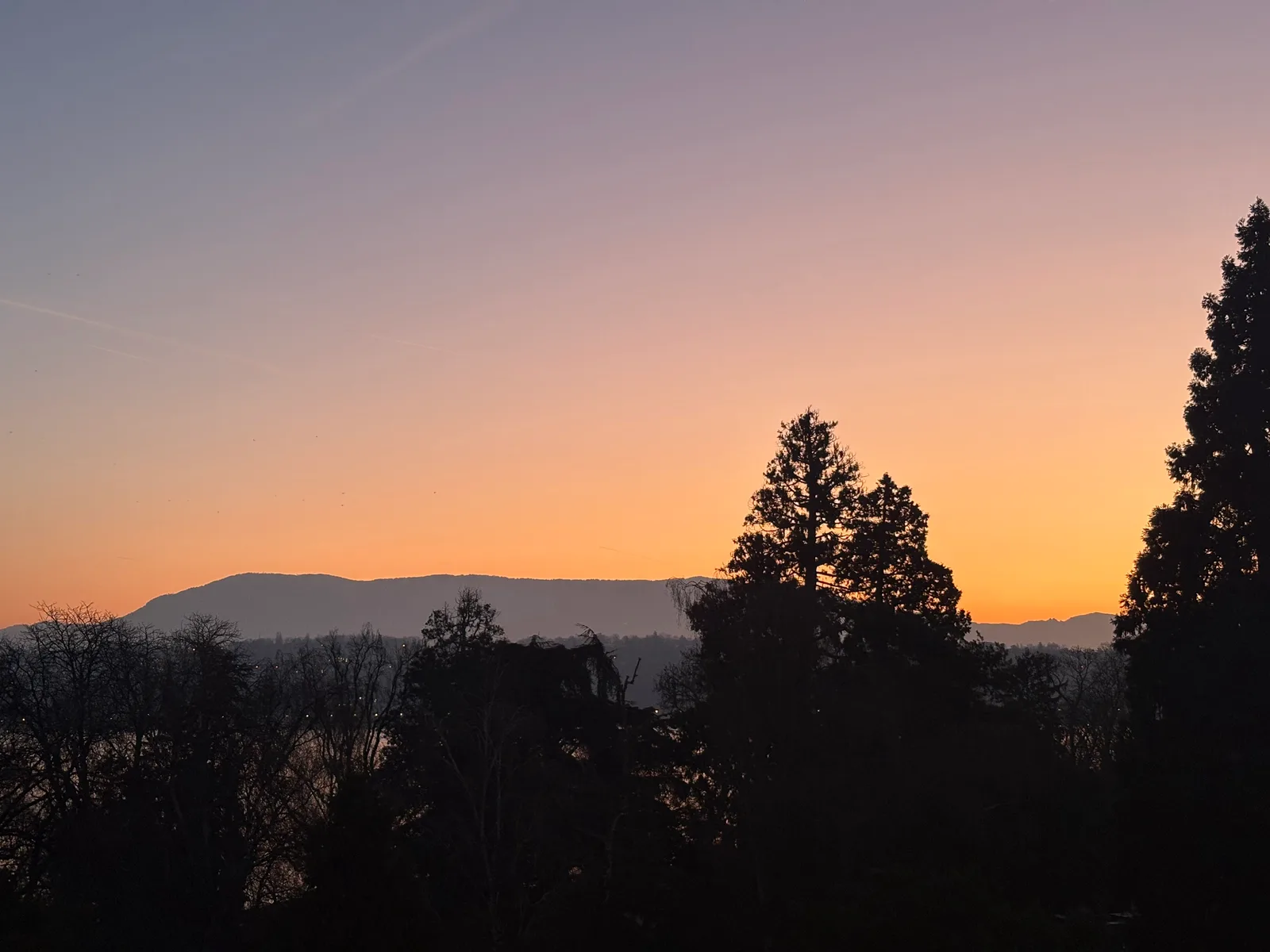 Atmosphere at Parc Moynier Geneva — travel photo