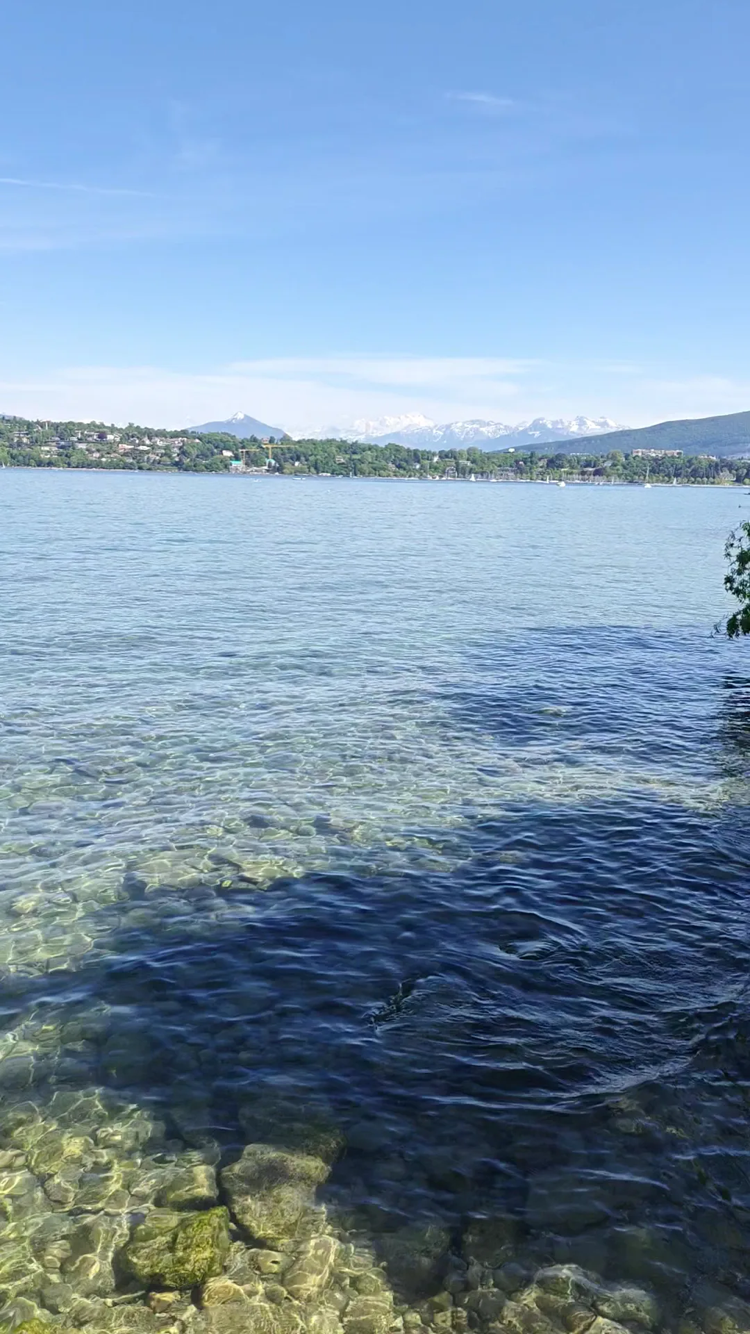 Details at Parc William Rappard Geneva — travel photo