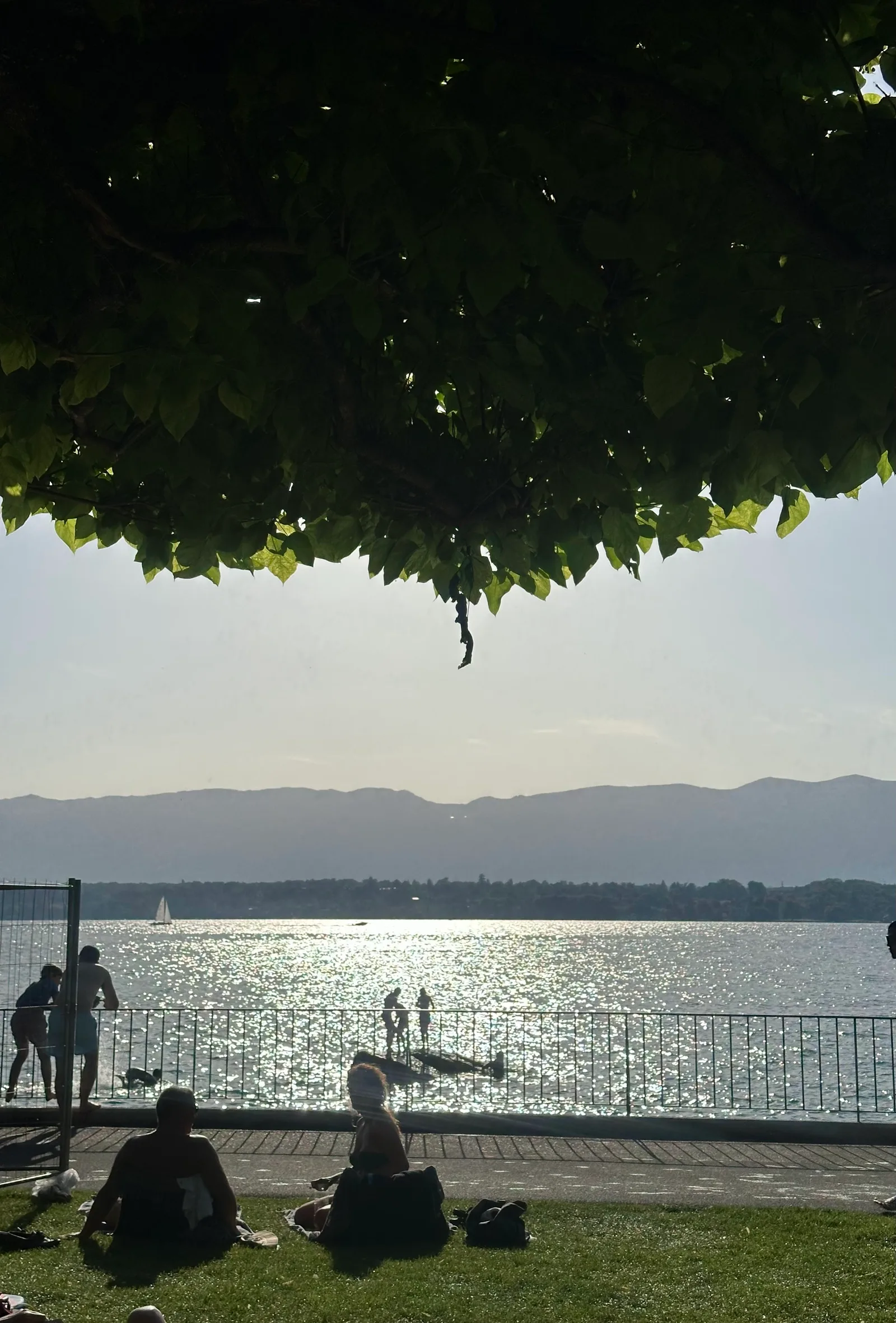 Main view at Plage de la Nymphe Geneva — travel photo