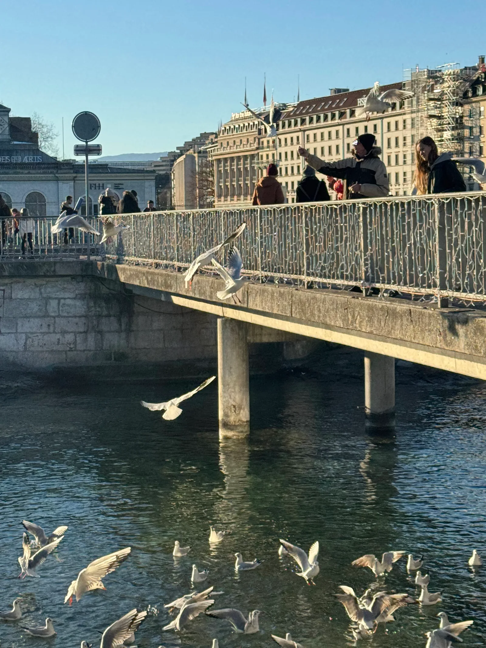 Details at Pont des Bergues Geneva — travel photo