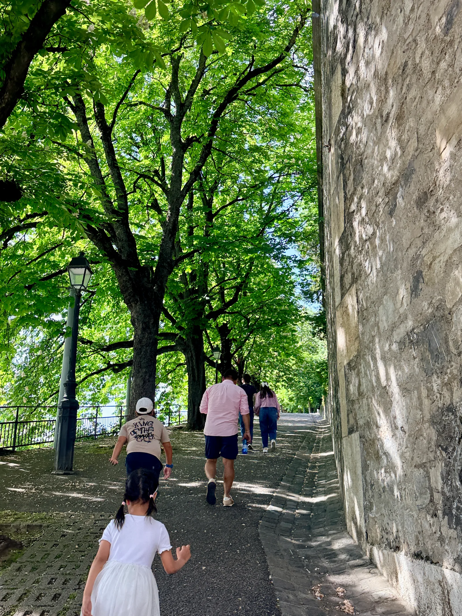 Details at Promenade de la Treille Geneva — travel photo