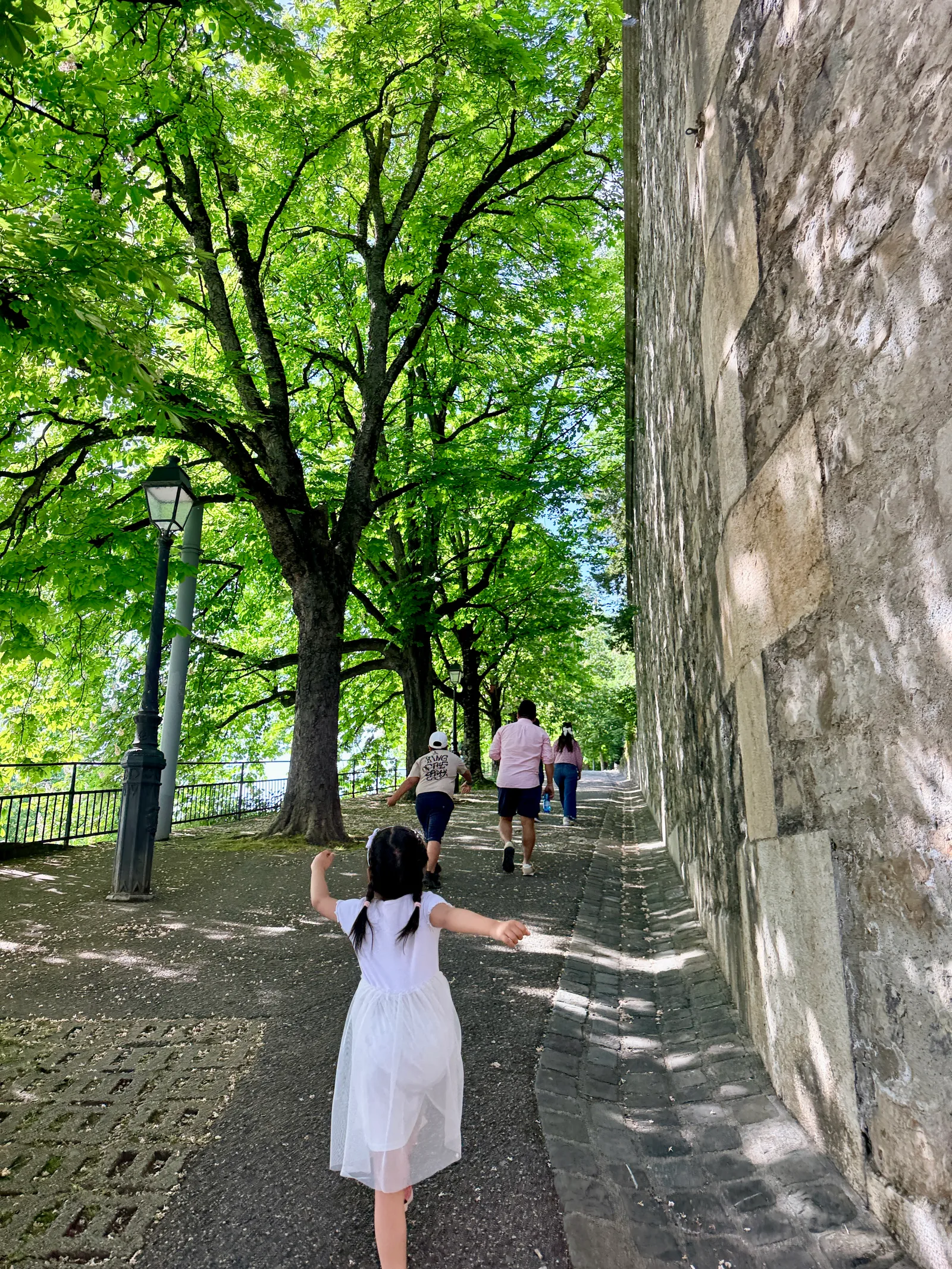 Atmosphere at Promenade de la Treille Geneva — travel photo