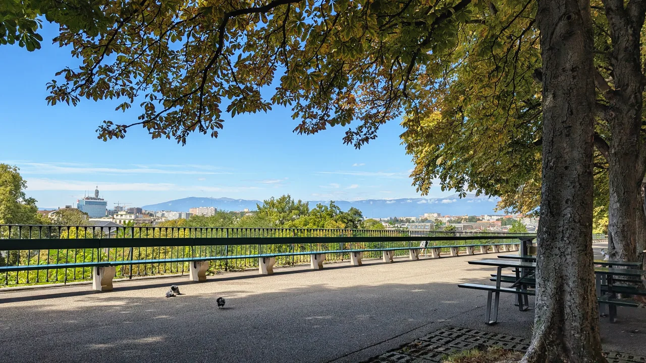 Promenade de la Treille