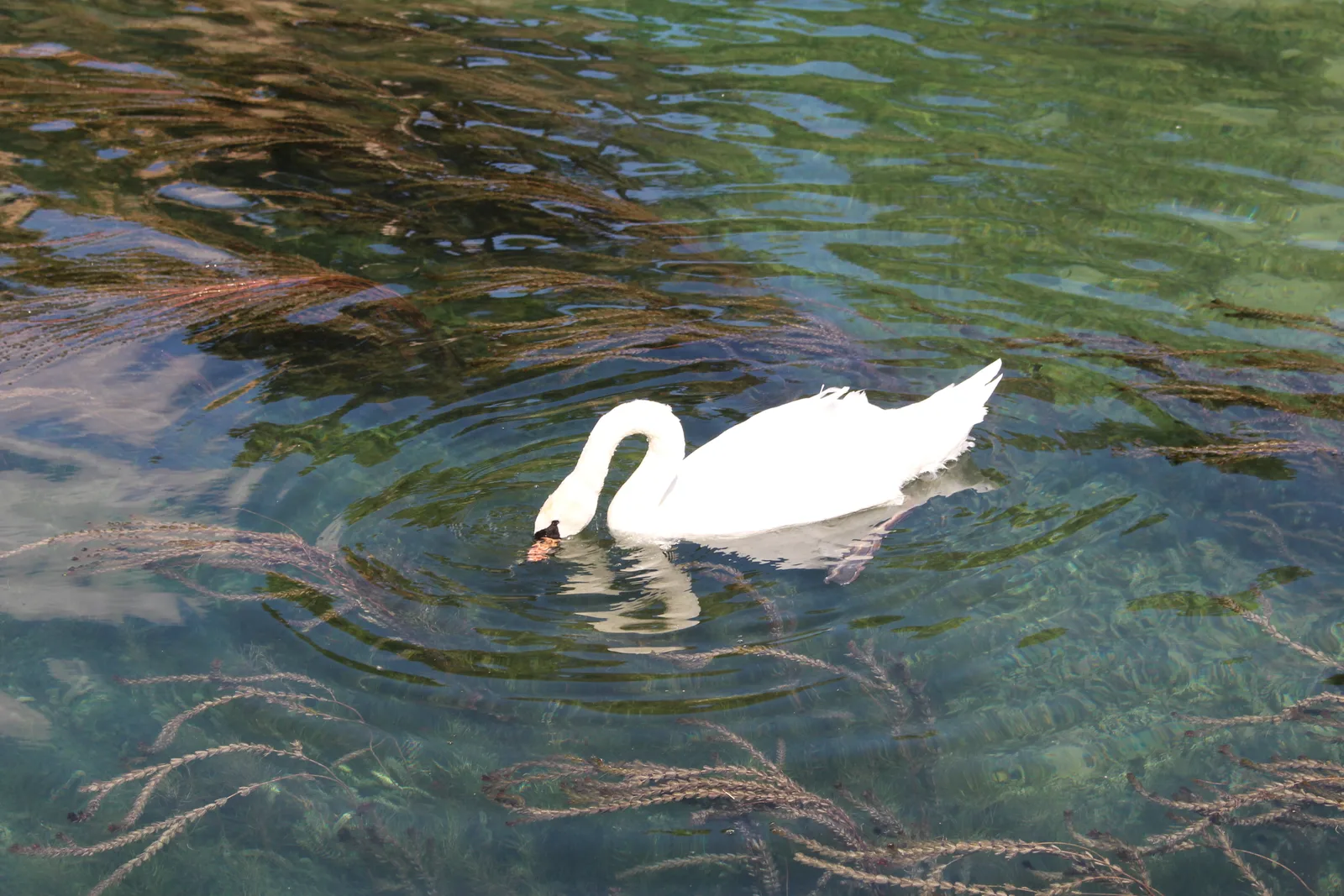 Details at Quartier Libre SIG Geneva — travel photo