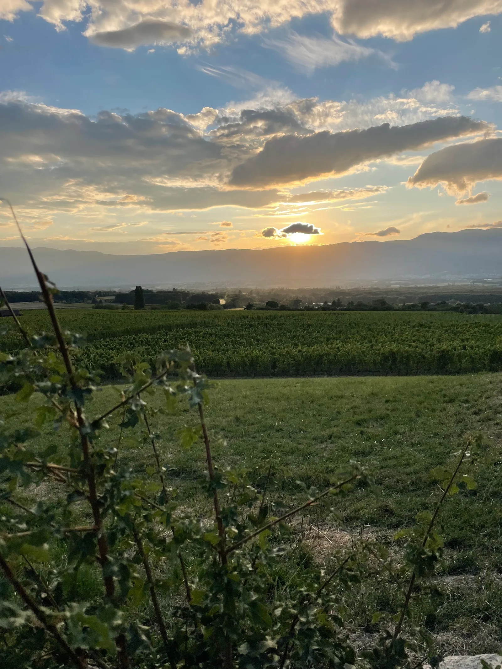 Interior at Signal de Bernex Geneva — travel photo
