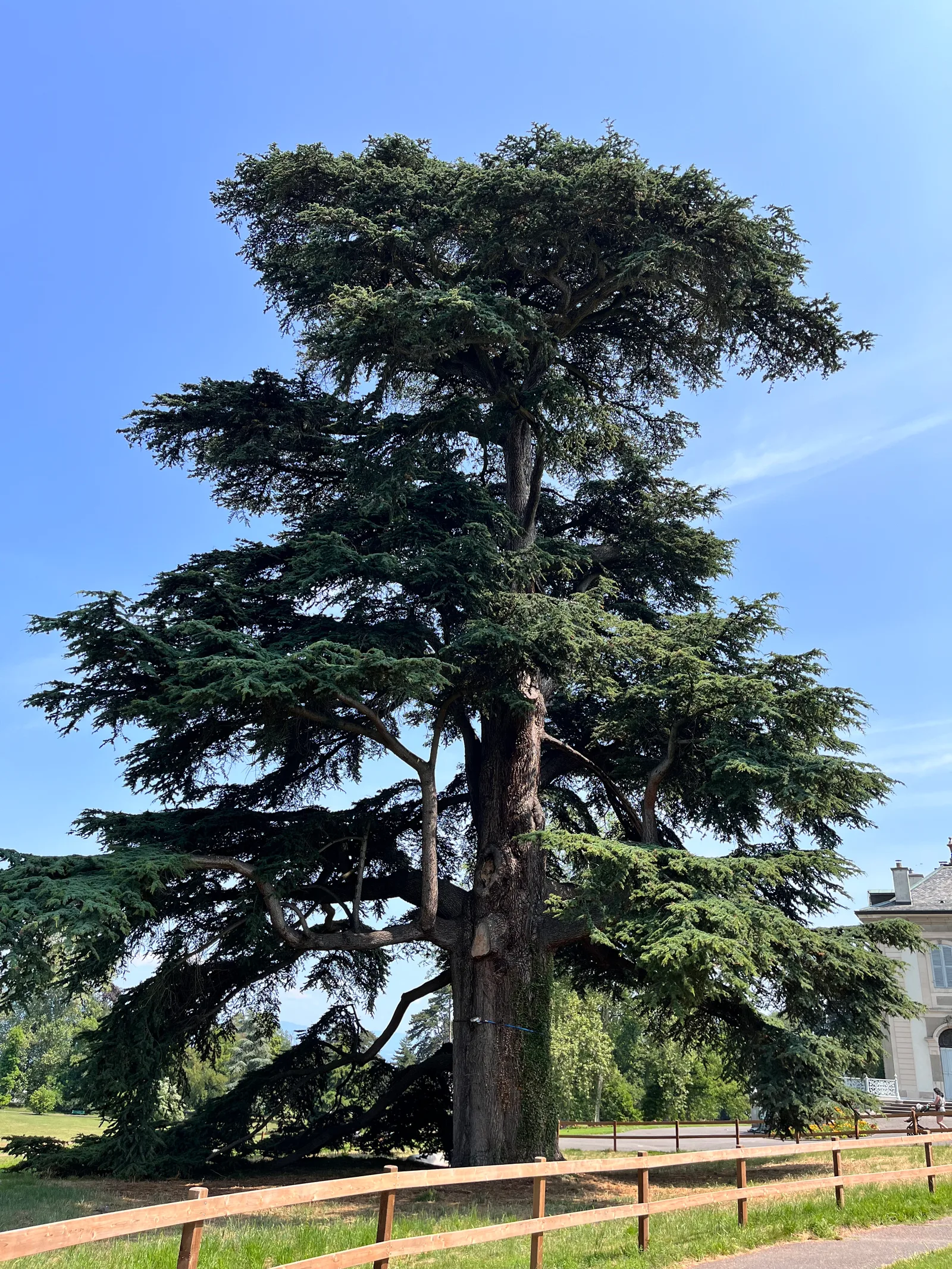Atmosphere at Villa La Grange Geneva — travel photo