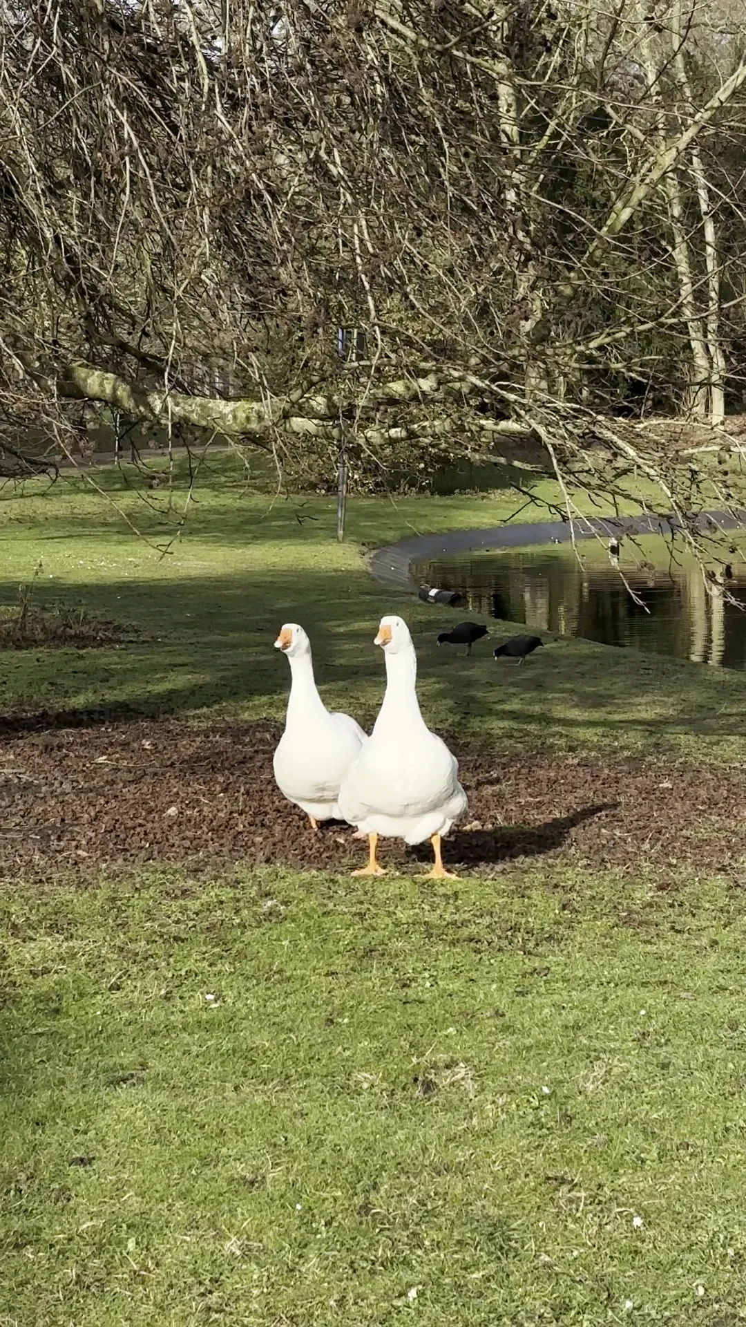 Interior at Citadelpark Ghent — travel photo