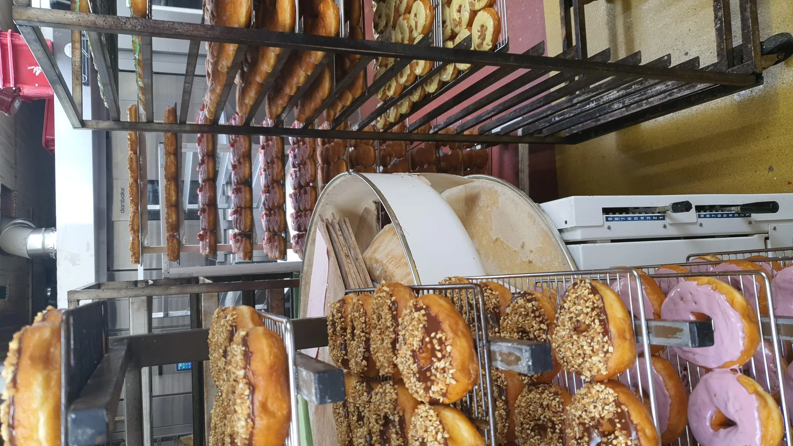 Frimout — hidden gems guide Ghent