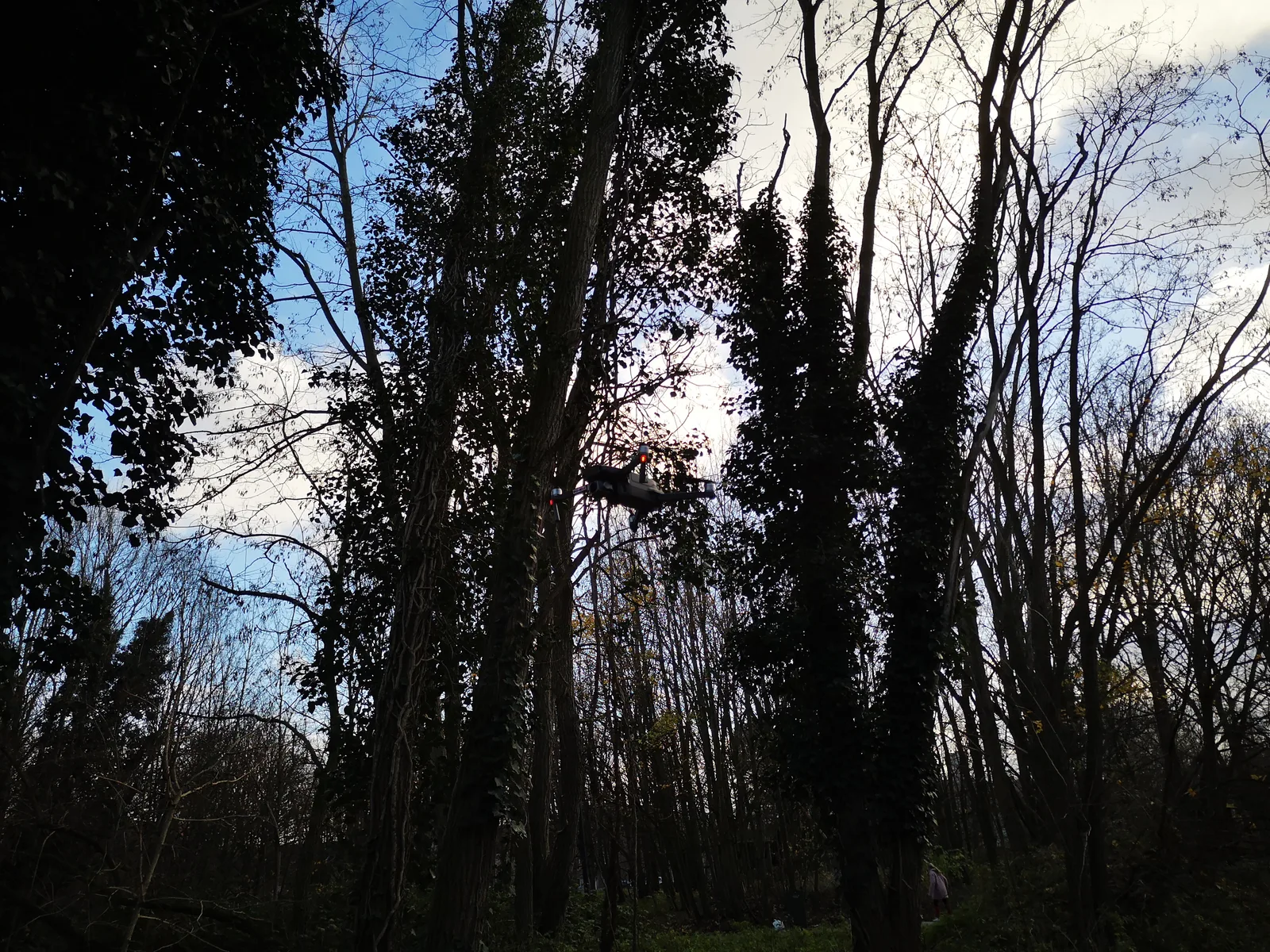 Main view at Groenevalleipark Ghent — travel photo