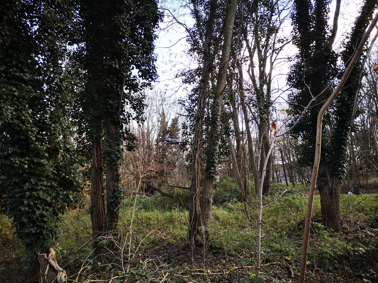 Interior at Groenevalleipark Ghent — travel photo