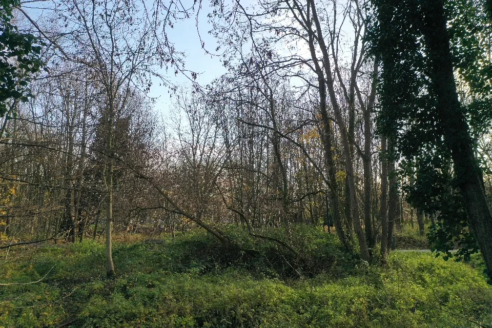 Atmosphere at Groenevalleipark Ghent — travel photo