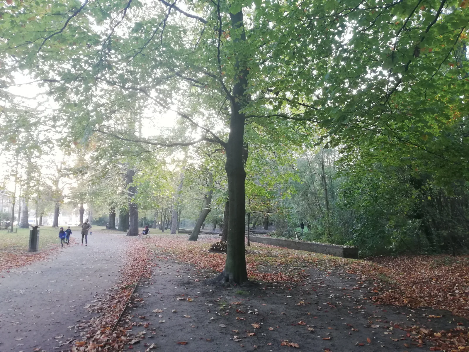 Groenevalleipark — budget guide Ghent