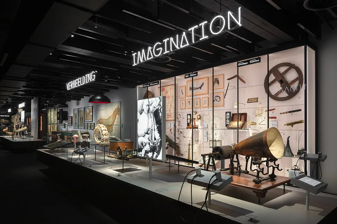 GUM - Gents Universiteitsmuseum & Plantentuin — culture guide Ghent