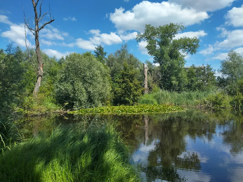 Wondelgemse meersen