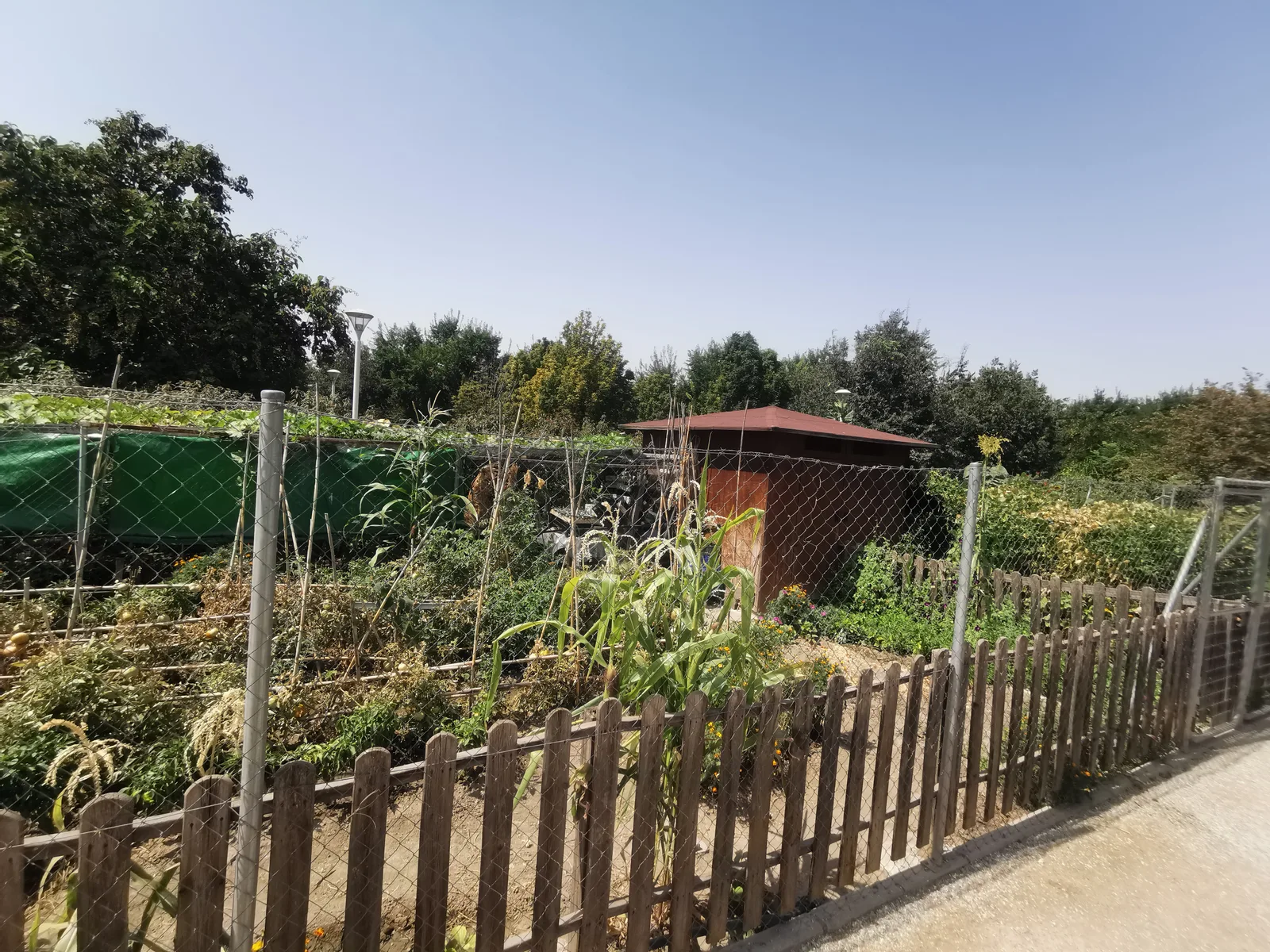 Atmosphere at Almunia de Aynadamar Park Granada — travel photo