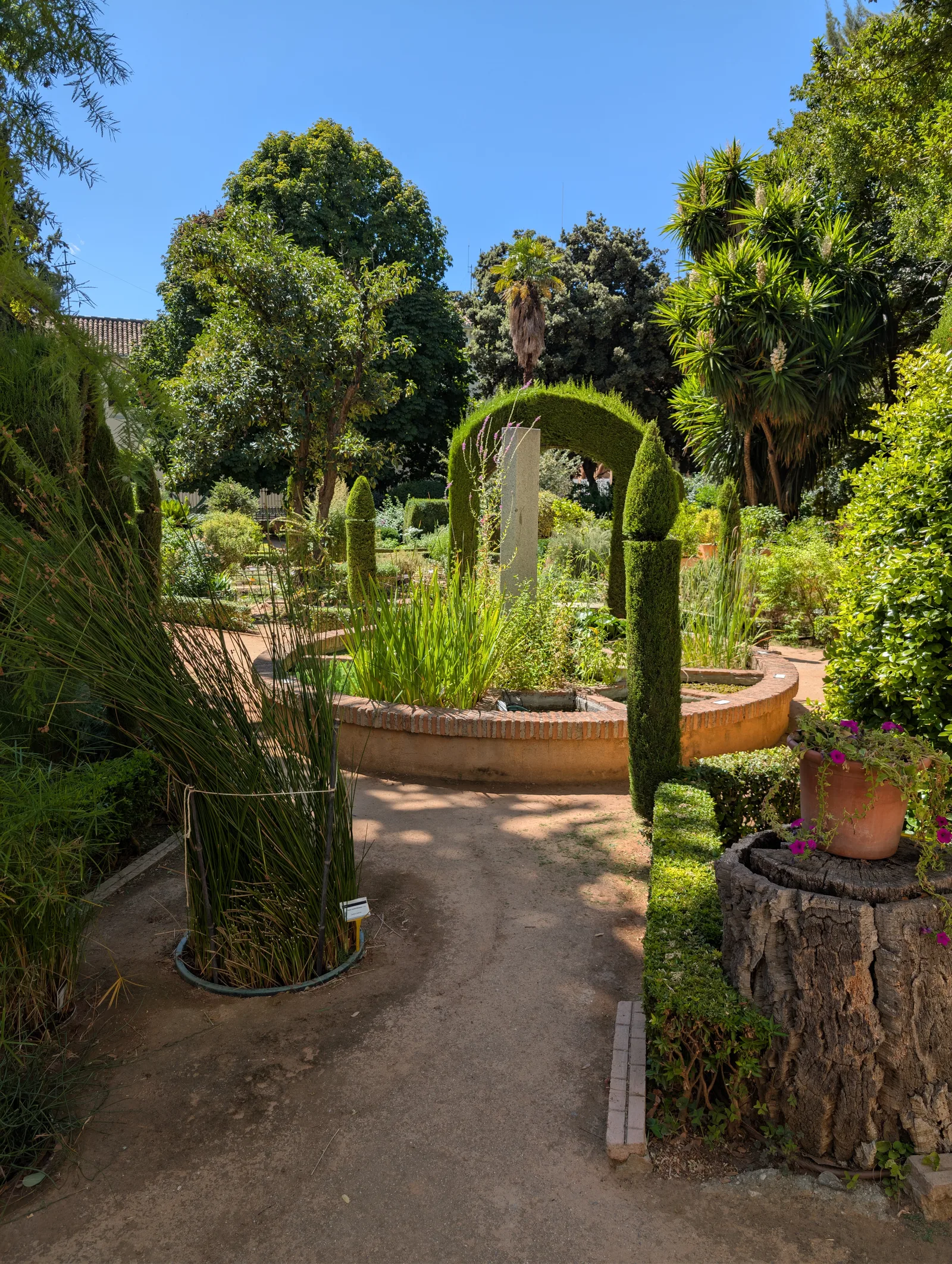 Main view at Botanical Garden of the University of Granada Granada — travel photo