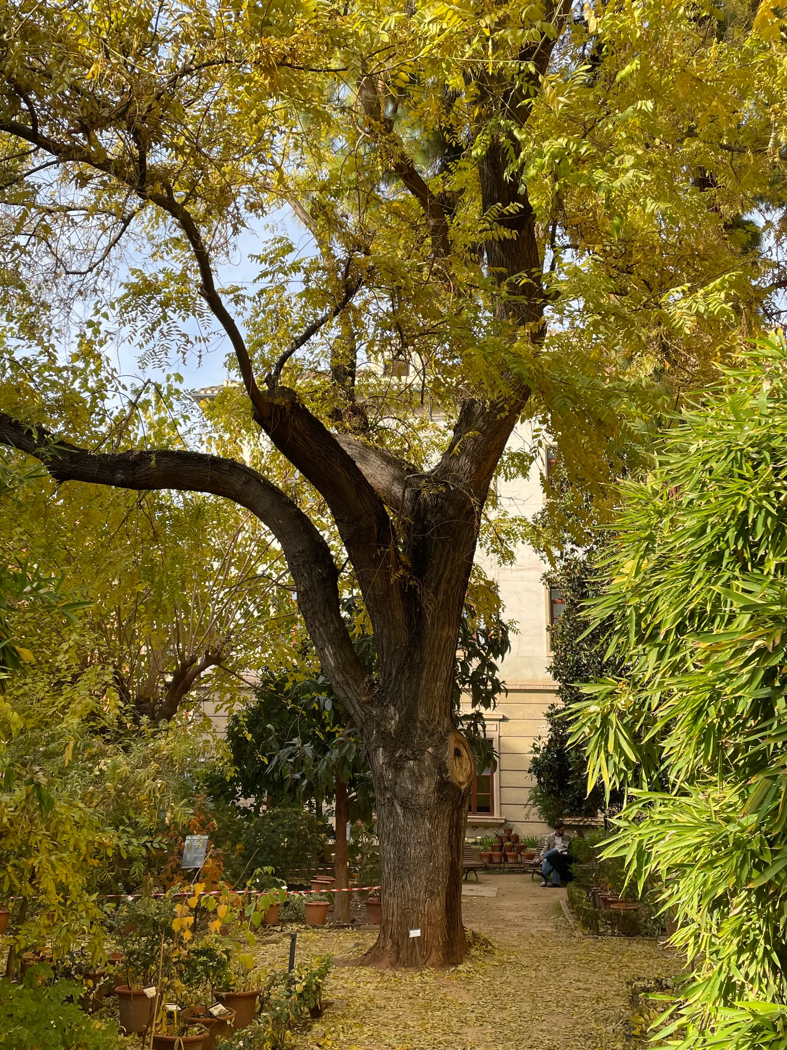 Details at Botanical Garden of the University of Granada Granada — travel photo