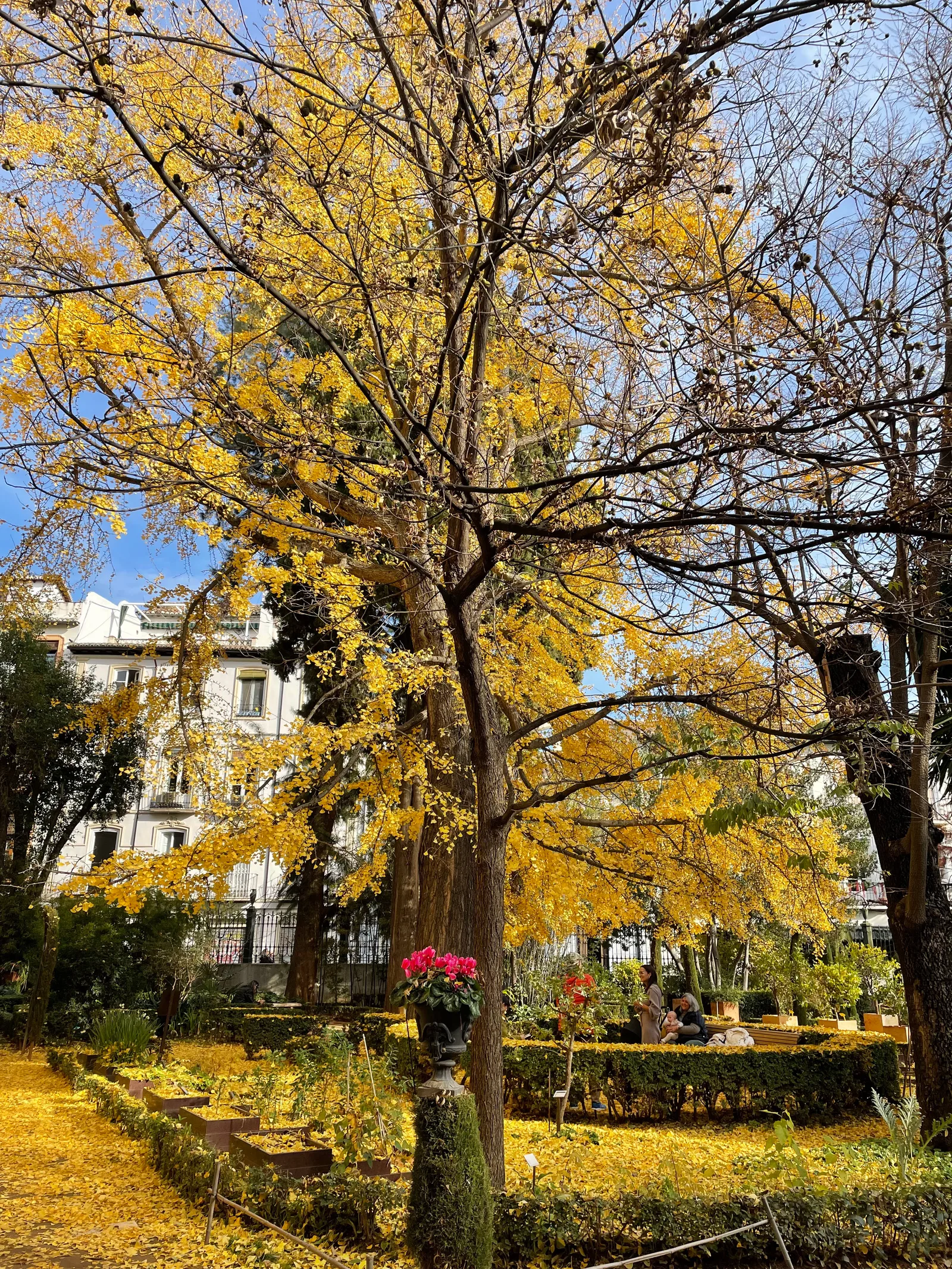 Atmosphere at Botanical Garden of the University of Granada Granada — travel photo
