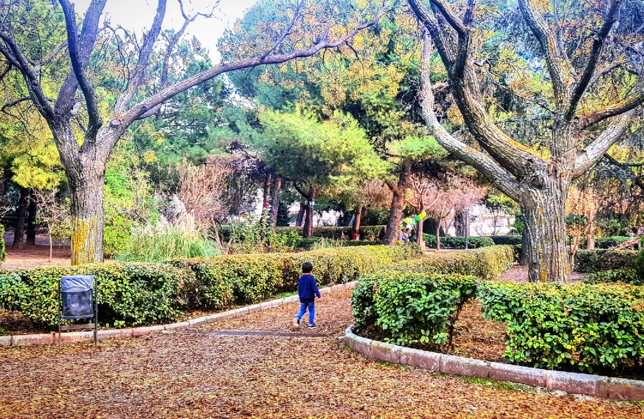 Cármenes de San Miguel Park
