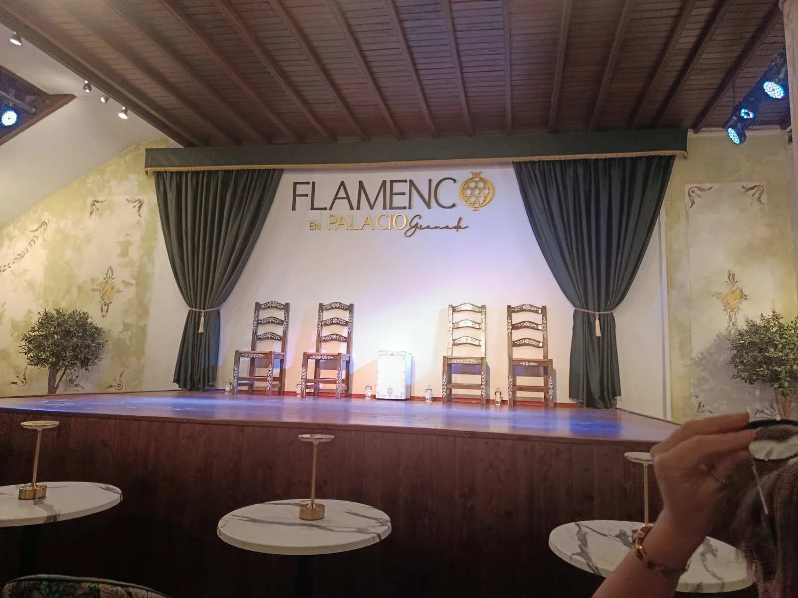 Main view at Flamenco en Palacio Granada Granada — travel photo