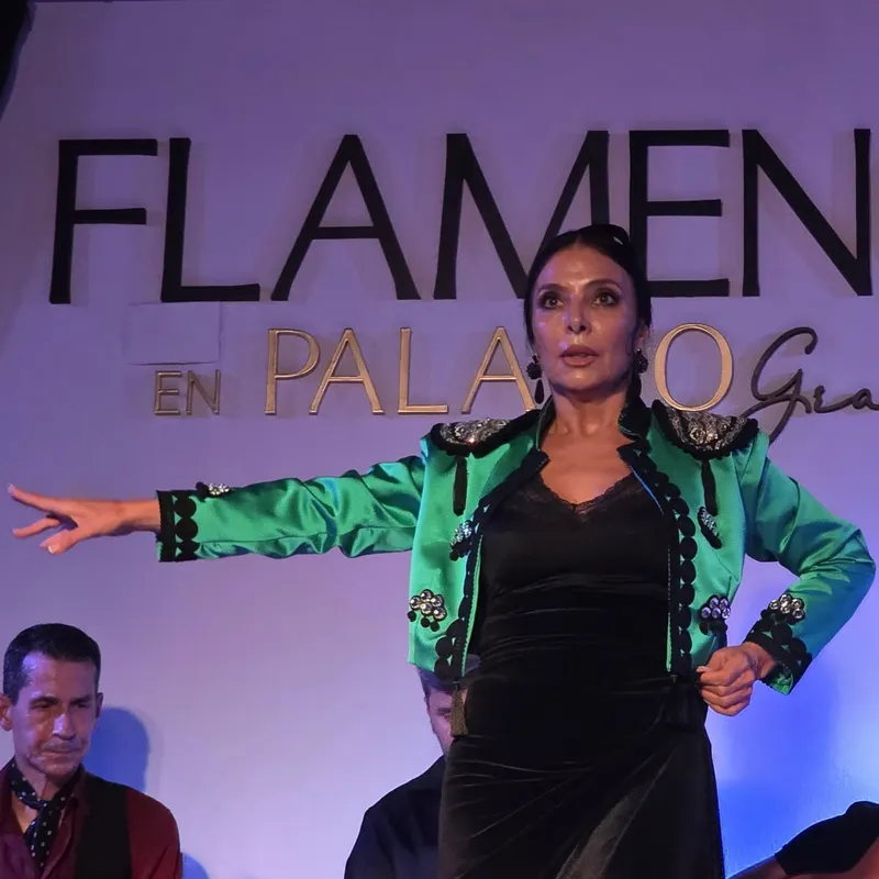 Flamenco en Palacio Granada â contemporary museum in Granada