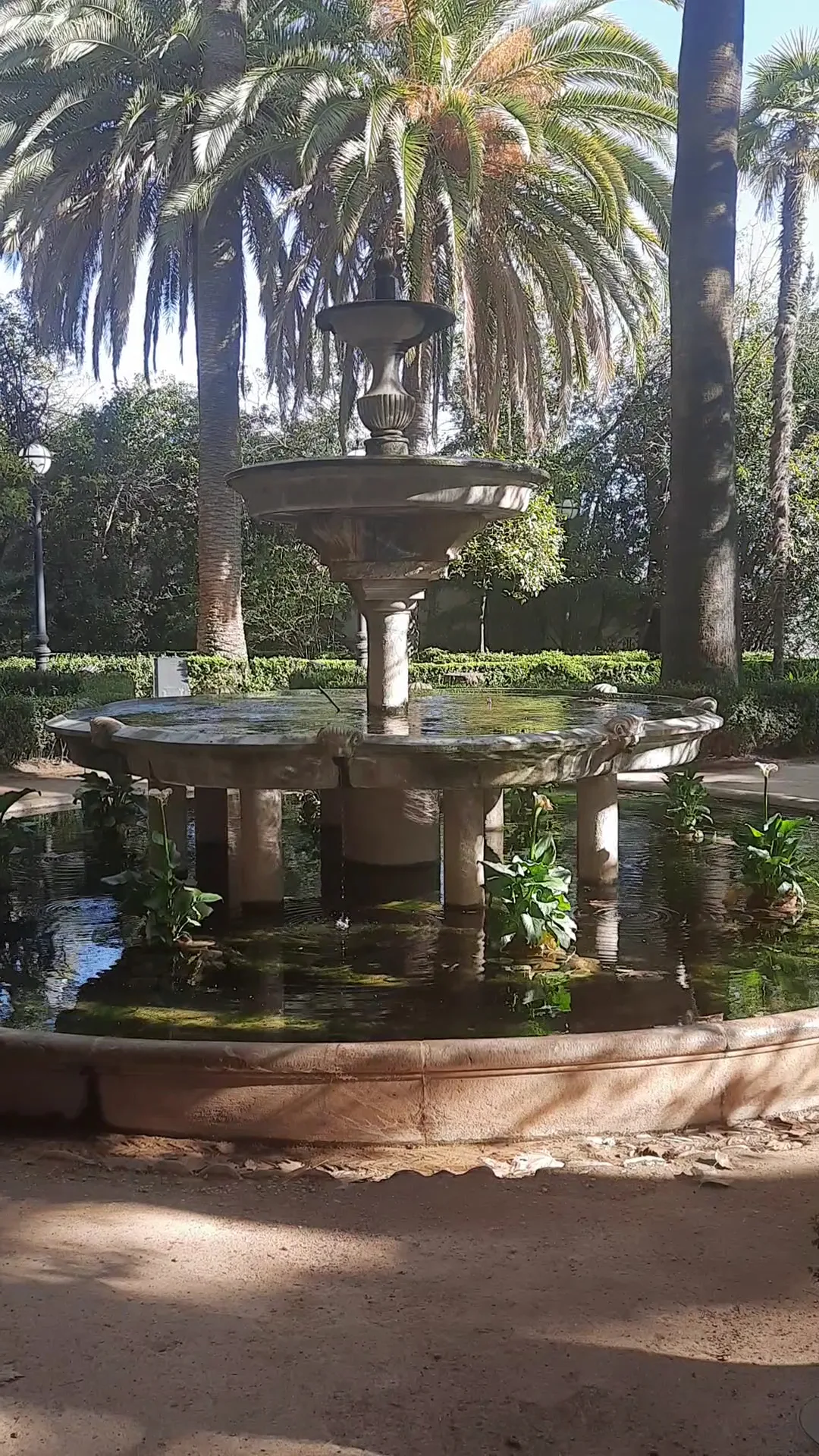Main view at Francés Garden Granada — travel photo