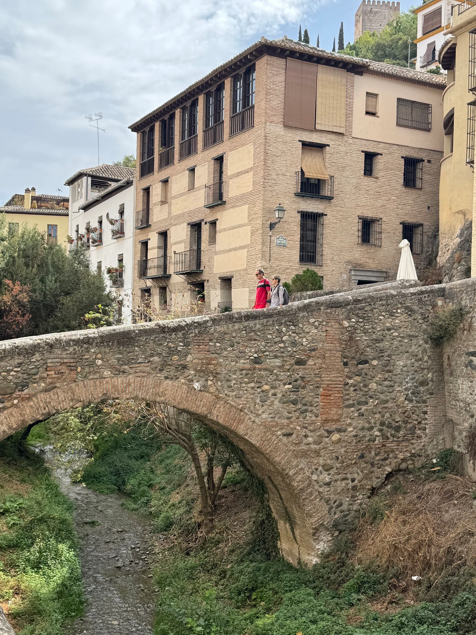Details at Fuente del Paseo de los Tristes Granada — travel photo