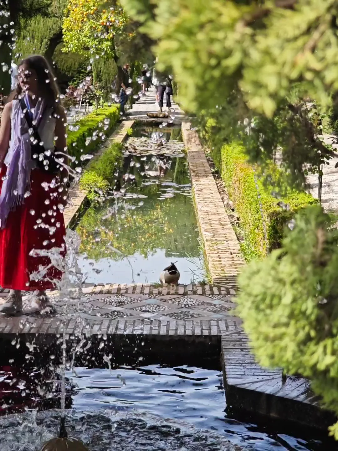 Atmosphere at Generalife Gardens Granada — travel photo