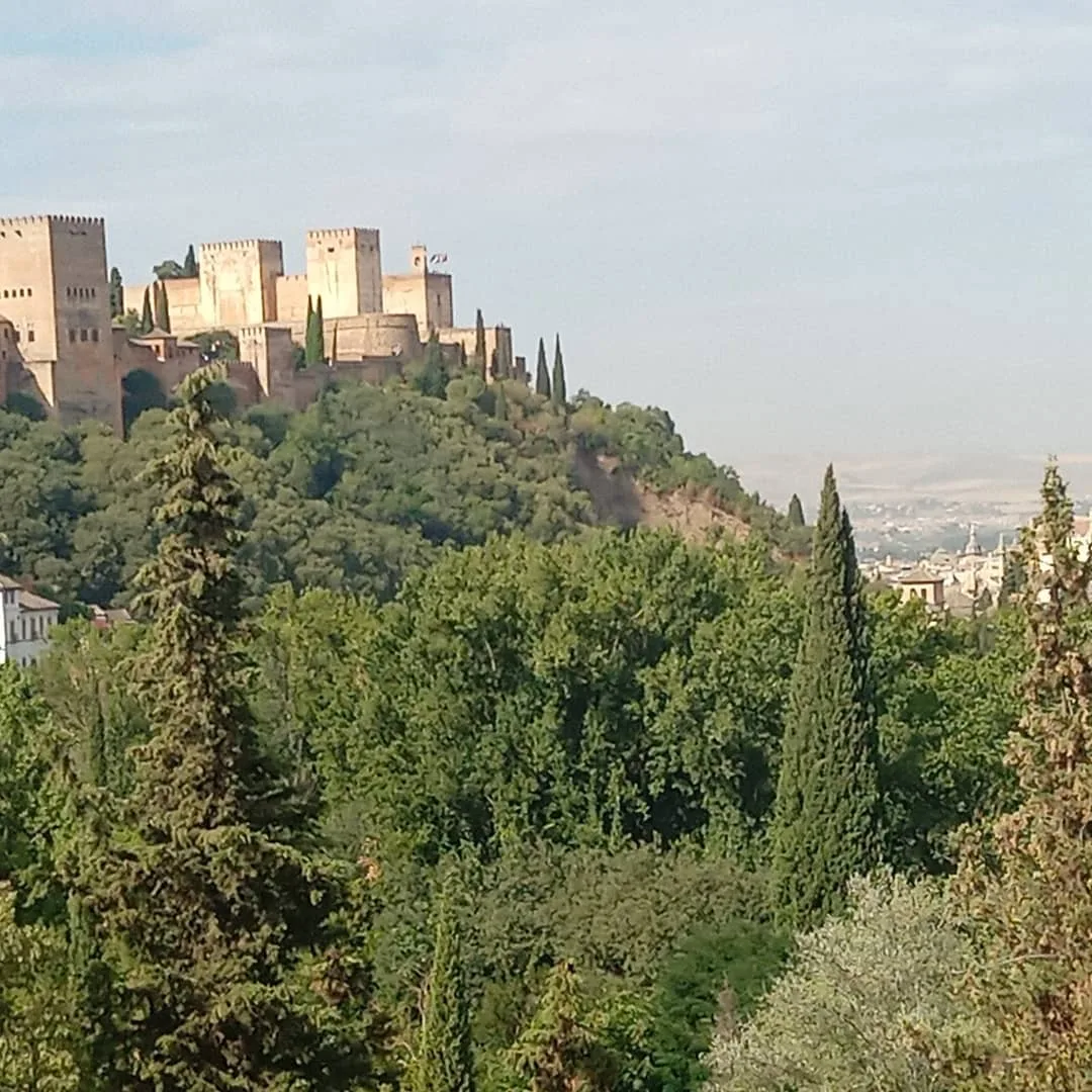 Main view at Llano De La Perdiz Granada — travel photo