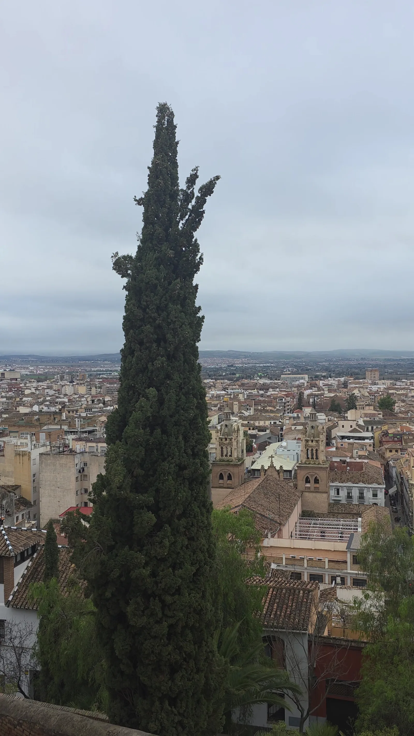 Details at Mirador Ojo de Granada Granada — travel photo