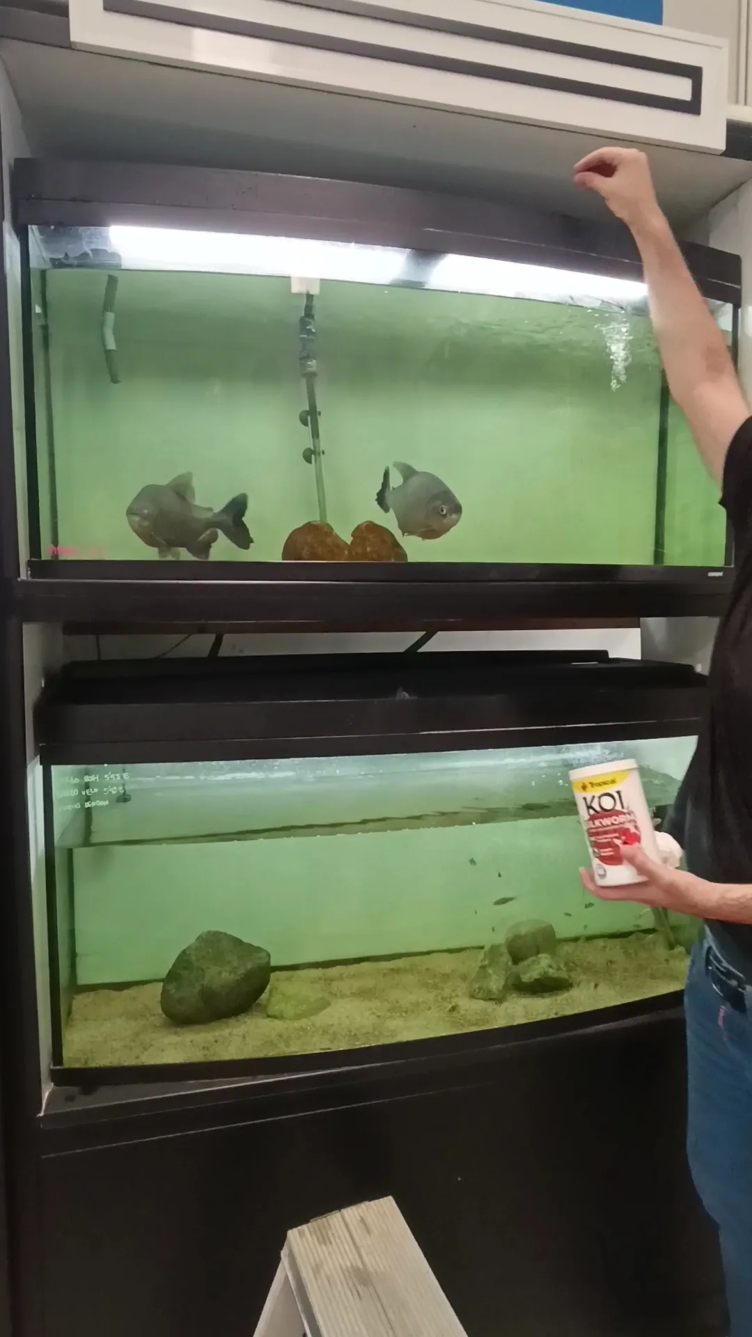 Atmosphere at Mundi Aquarium Center Granada — travel photo
