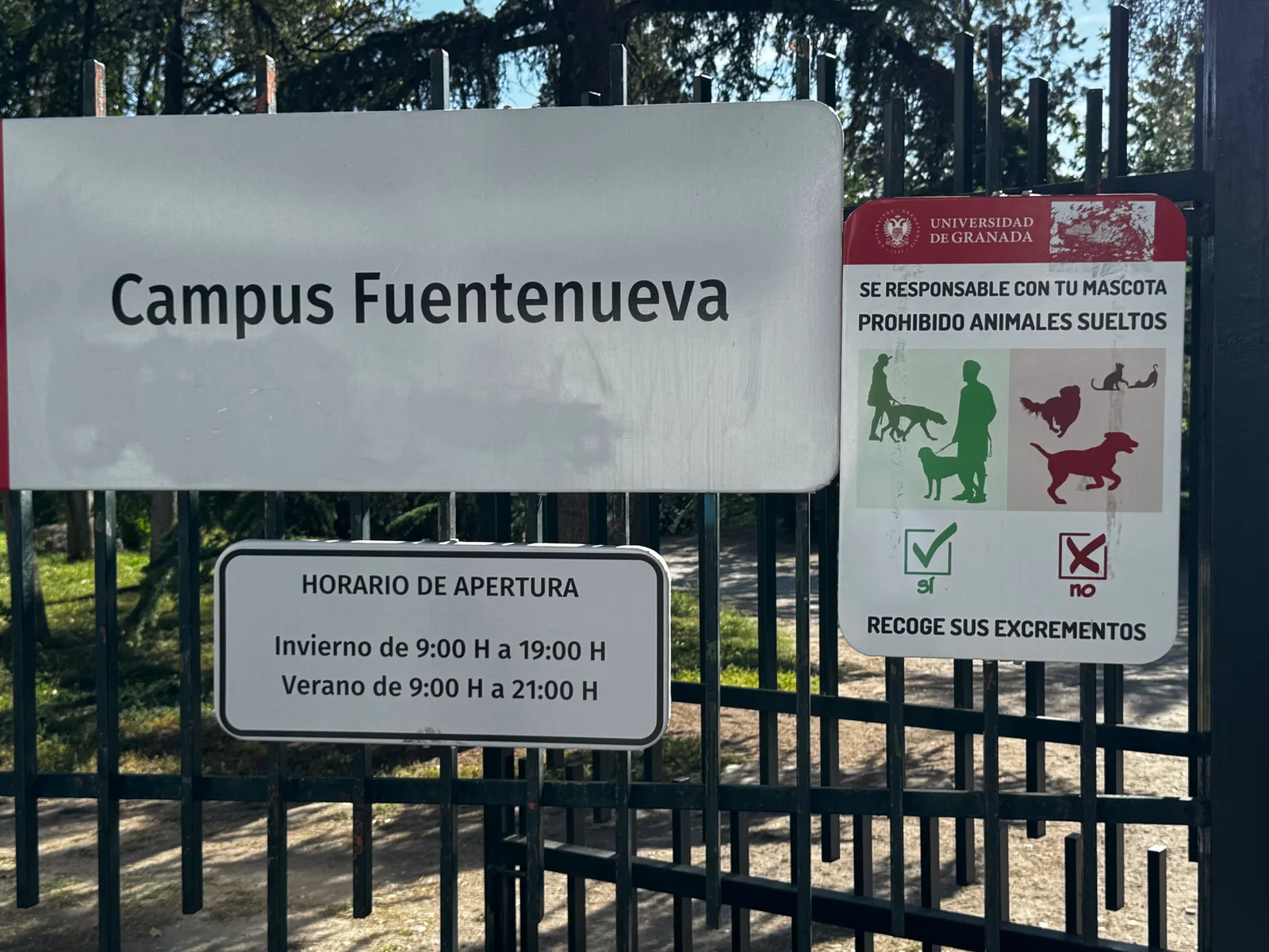 Main view at Parque Fuentenueva Granada — travel photo