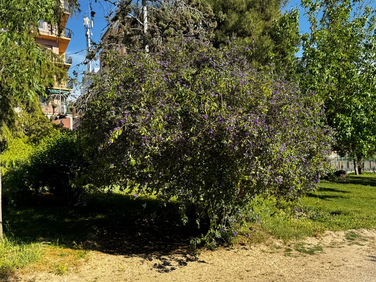 Details at Parque Fuentenueva Granada — travel photo