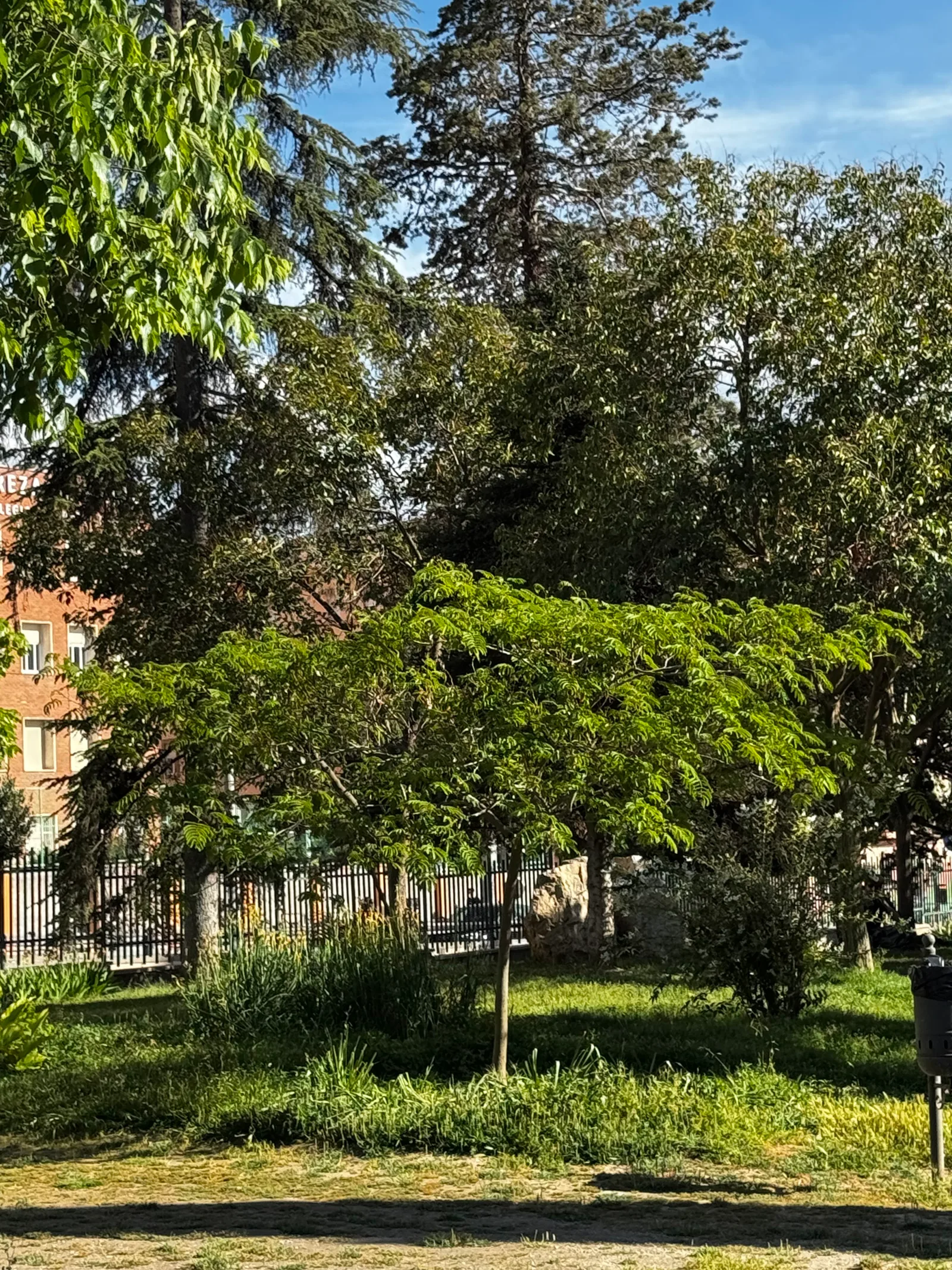 Atmosphere at Parque Fuentenueva Granada — travel photo