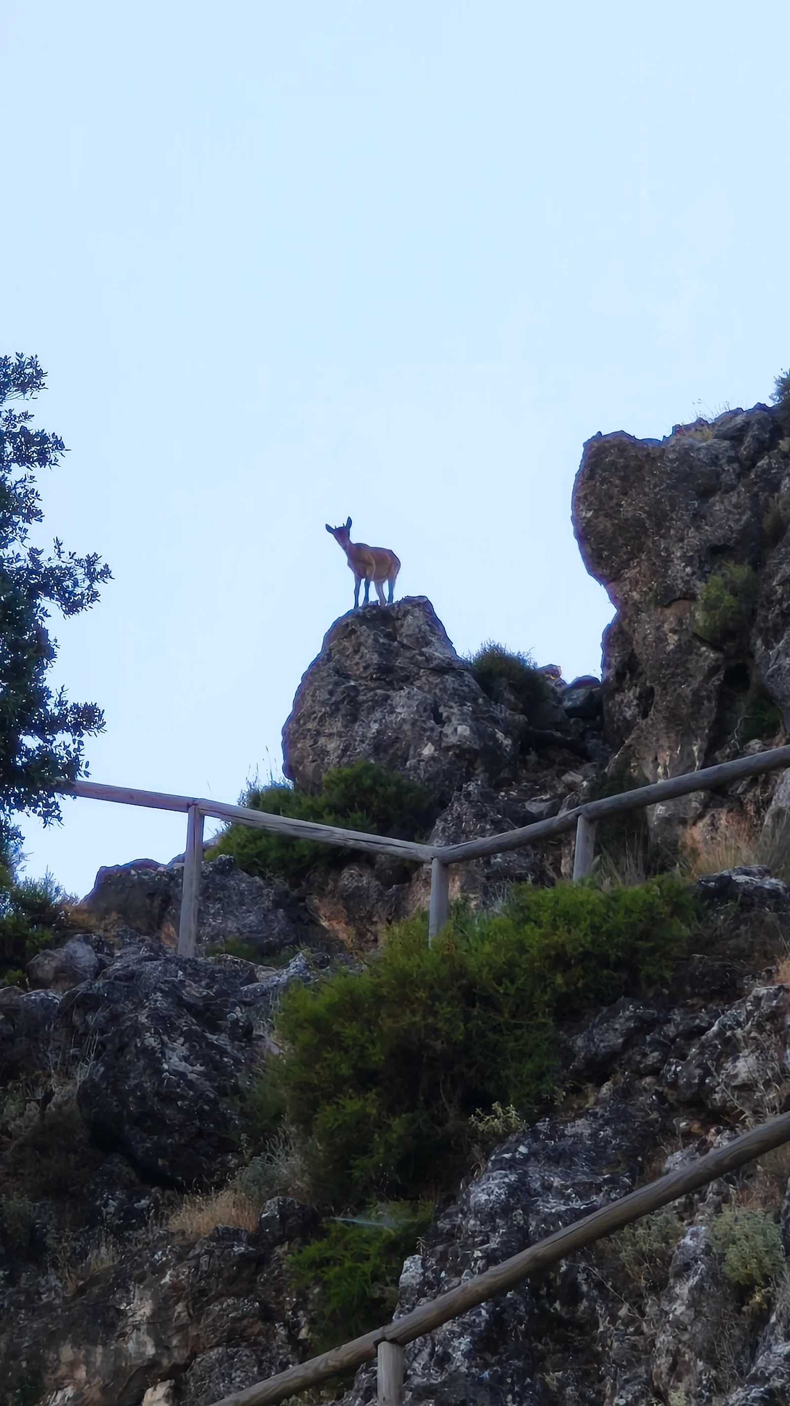 Main view at Parque Natural Sierra de Huétor Granada — travel photo